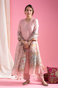 Women's Light Pink Silk Blend Kurta Pant Set with Kalamkari Printed Organza Dupatta | Embroidered V-Neck Kurti Set