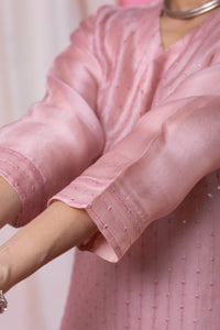 Women's Light Pink Silk Blend Kurta Pant Set with Kalamkari Printed Organza Dupatta | Embroidered V-Neck Kurti Set